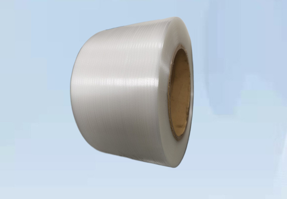 Breedte 5mm 19mm de Uitdrijvingsmachine 4 van de HUISDIERENpp Riem Riem Verpakkende Riemen