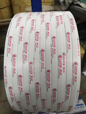 Eenvoudige schroef 4 holte PP band extrusie lijn PP band maken machine PP band extrusie lijn voor helder glans en goede El