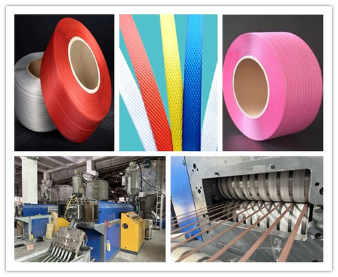 Levering PP-extrusiemachine PP-bandmachine PP-productielijnapparatuur voor 5-19 mm kleur PP-band
