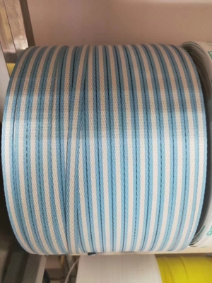 110 mm PP-bandmachine Verstelbare bandspanning voor PP-recyclemateriaal