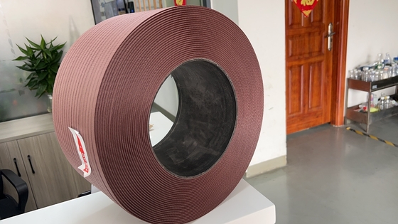 Aanpasbare en duurzame Pp-bandmachine met enkel dubbel schroefmateriaal
