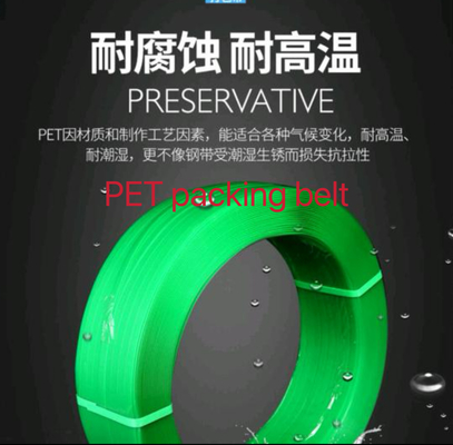 PET-verpakkingsgordel, PET-verpakkingsgordel van plastic staal, trekkracht: 200-1000KG, koud- en nattebestand,