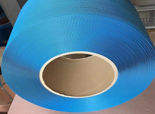 Schneider Electrical PP-band-extrusielijn met automatische en handmatige winder