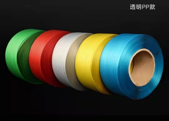 Het in reliëf gemaakte HUISDIER dat van de de Riemriem van de Polyester Plastic Verpakking Band vastbindt