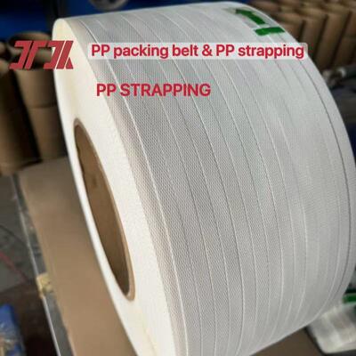 Aanpasbare onderdelen van extrusie-machines met een lage verlenging van PP-verpakkingsband