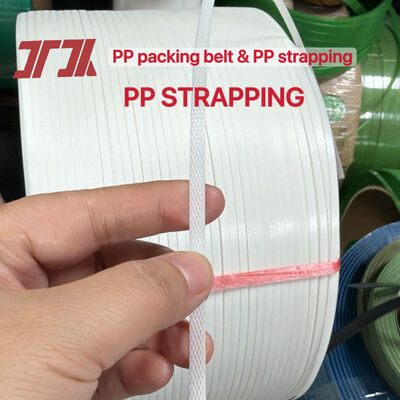 TES-extrusie-machineonderdelen Goed plastisch PP-verpakkingsband