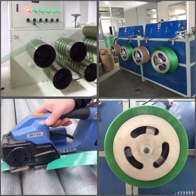 PLC van de HUISDIERENriem Controlesysteem van